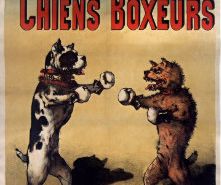 vintage_french_poster_boxer_dog_exposition_poster-r1f0206ea541d4c9facfd6d680e0a7c6c_ig910_8byvr_307